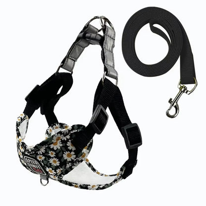 No Pull Dog Harness Leash Set for Small Medium Dog Reflective Harness Vest Walking Lead Leash for Small Dogs Chihuahua Pug