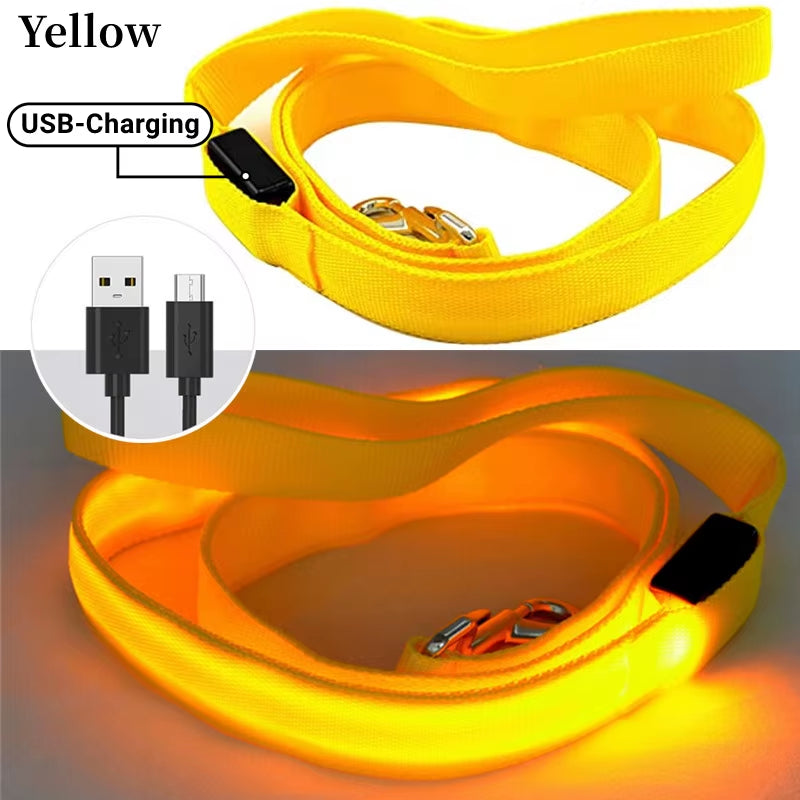 USB Oplaadbare LED Hondenriem – Veilig Wandelen in het Donker